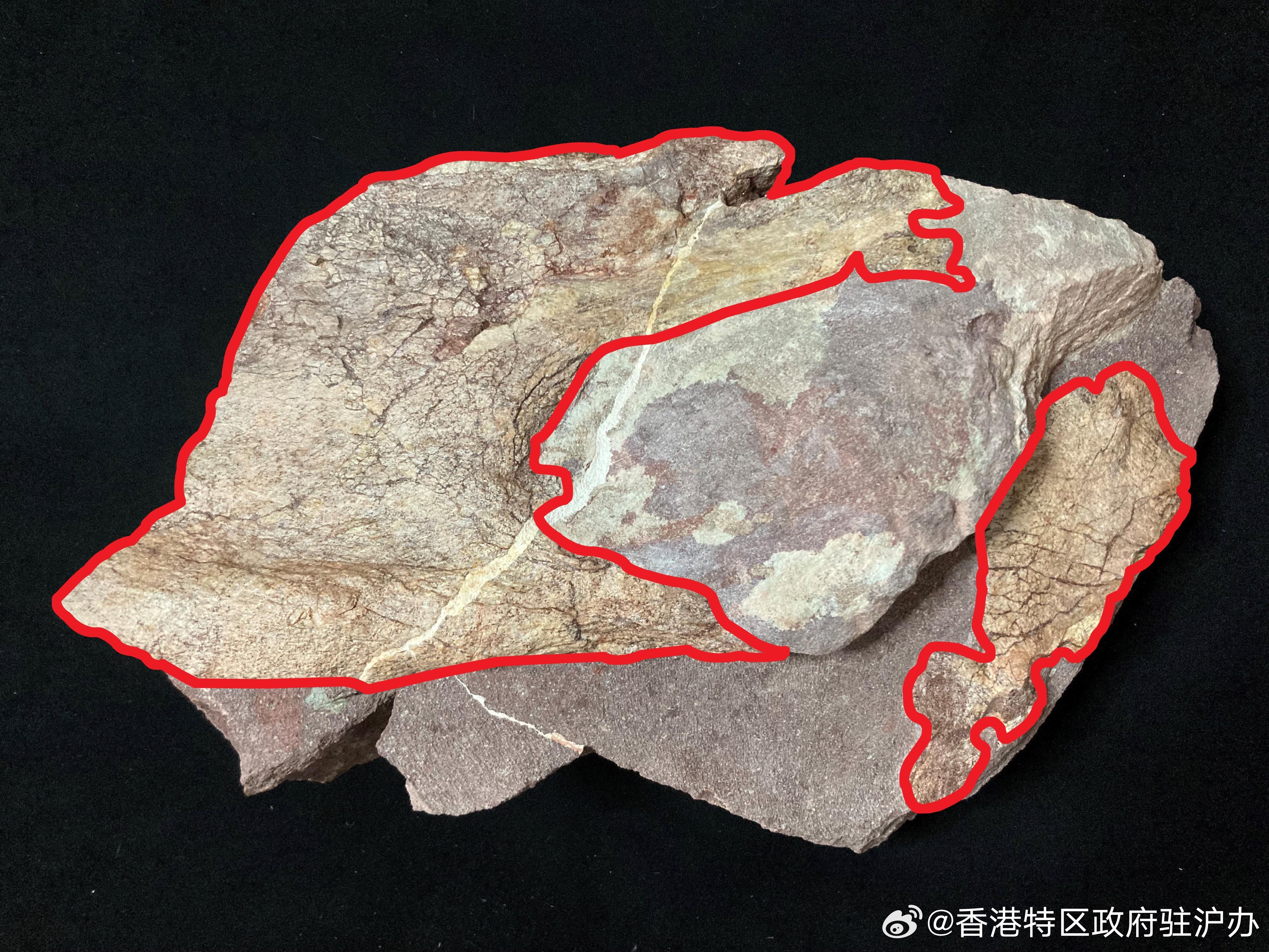 第5642页