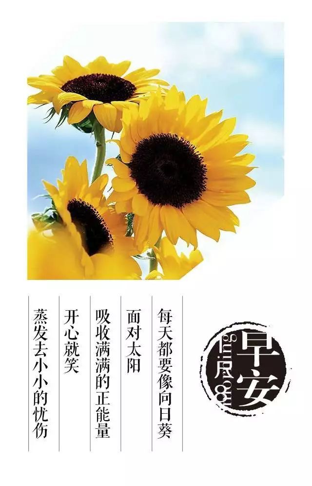 🌟每日正能量早安心语🌟