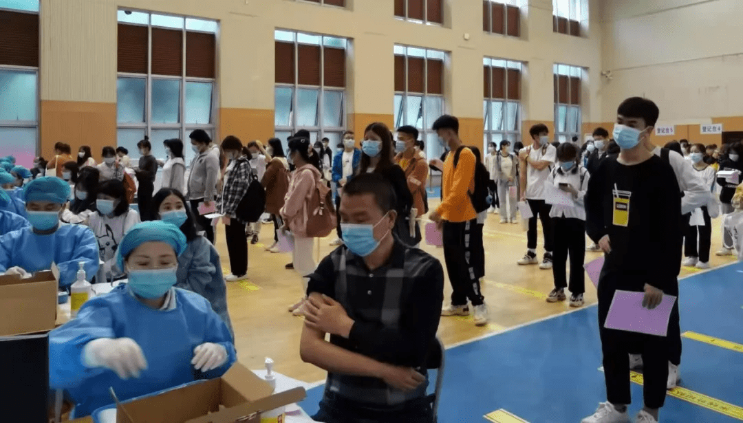 资阳区紫薇村最新动态报道
