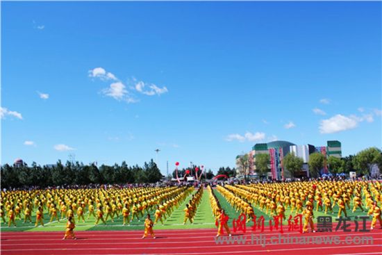 绥滨县赵国友的最新动态与相关观点分析
