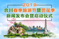 重庆市合川区最新招聘信息概览及公告发布通知