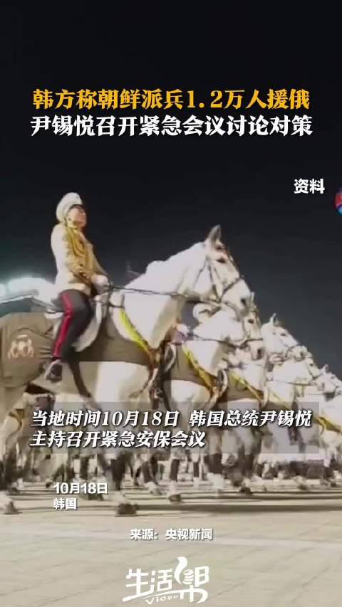 澳门一码一肖一特一中直播_韩方称朝鲜派兵援俄 规模为12000人,实际案例解释定义_LE版96.75.99