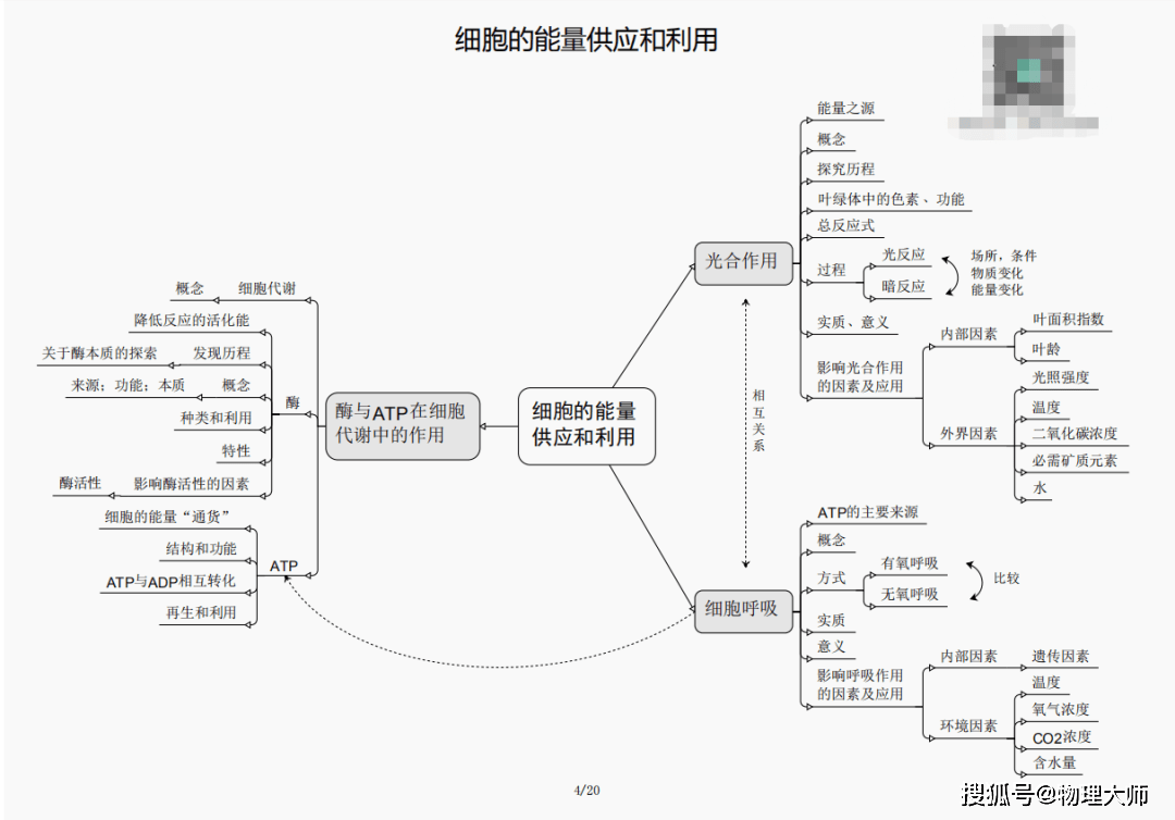 三肖必中三期必出资料_最新av网站,快速设计解析问题_Deluxe49.59.81