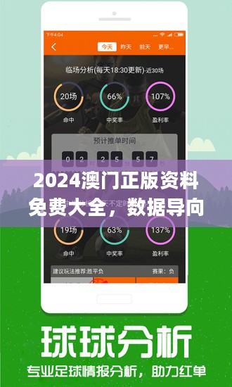 2024新澳门的资料今晚,专业执行问题_公积板BMI247.4