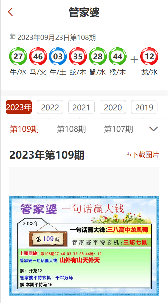 管家婆一码100%精准版，安全评估方案STB204.1专业版