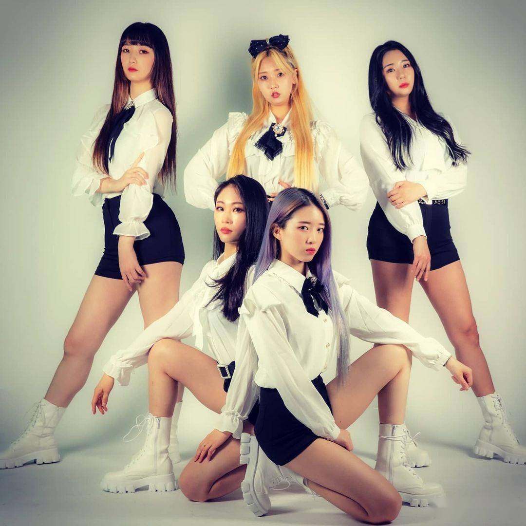最新韩国女团,机制评估方案_确认版94.786