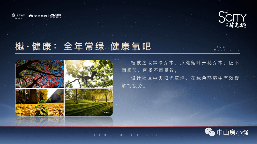 第1562页
