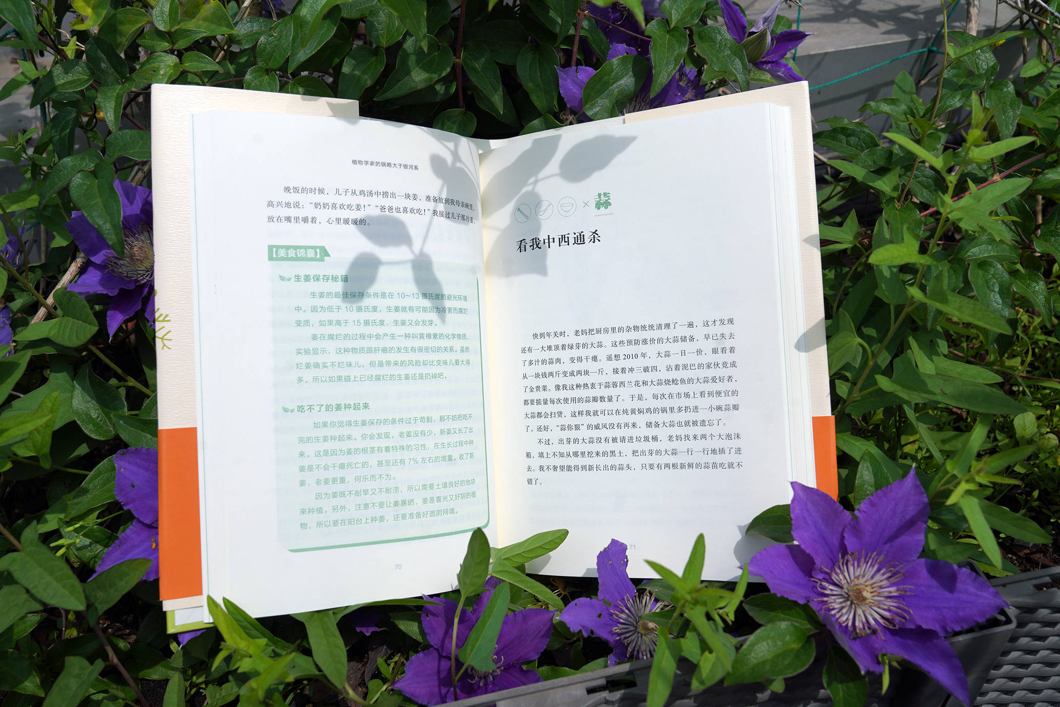 新奥天天精准资料大全,科学分析严谨解释_精致生活版22.885