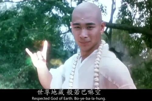 赵文卓最新动态揭秘，武打巨星崭新篇章的开启