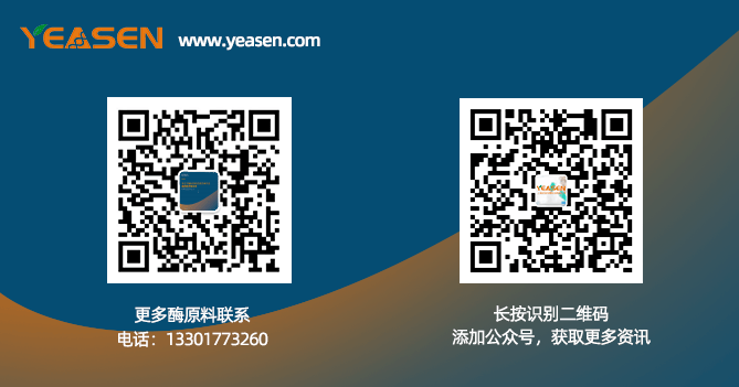 新澳精准资料免费提供,多元化诊断解决_获取版22.491