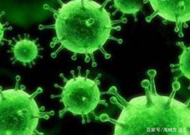 新澳门三码中特,科学分析解释说明_寓言版22.184