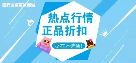最新非瘟概述与动态分析