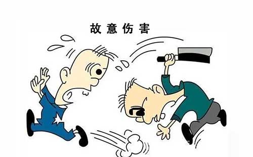 最新故意伤害致死案例解析，法律责任的界定与制裁措施探讨