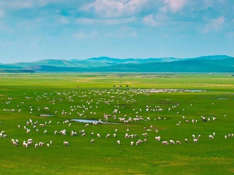 中国运-20最新动态，自然之旅的心灵呼唤，内心平静之旅启程
