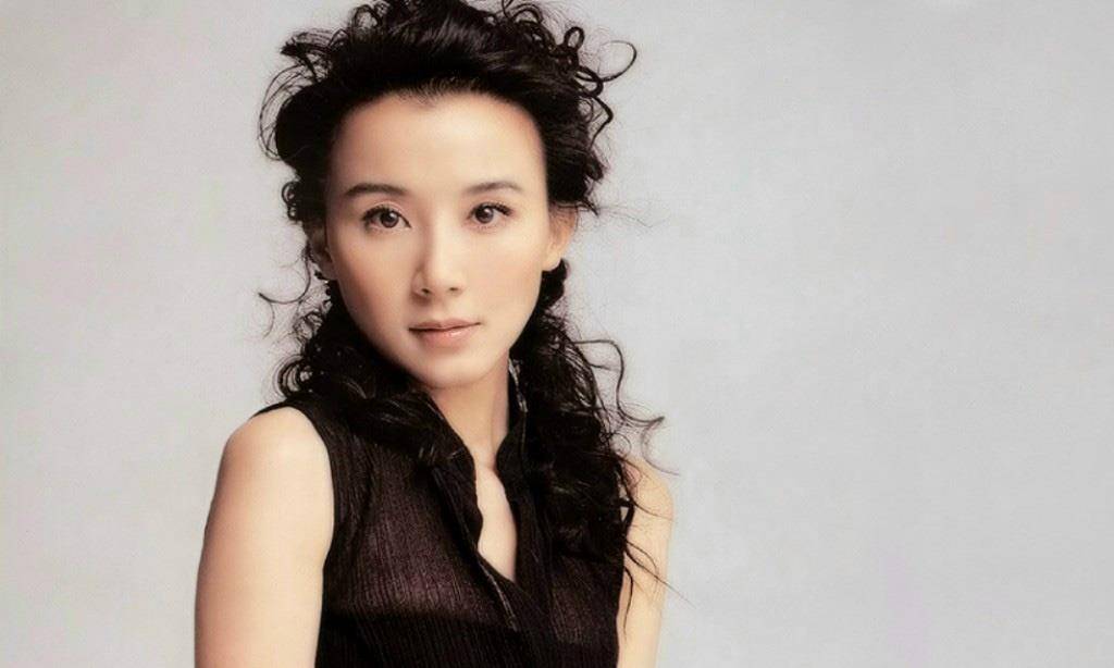 我的明星夫人最新章节深度解析，背景、事件与影响探讨