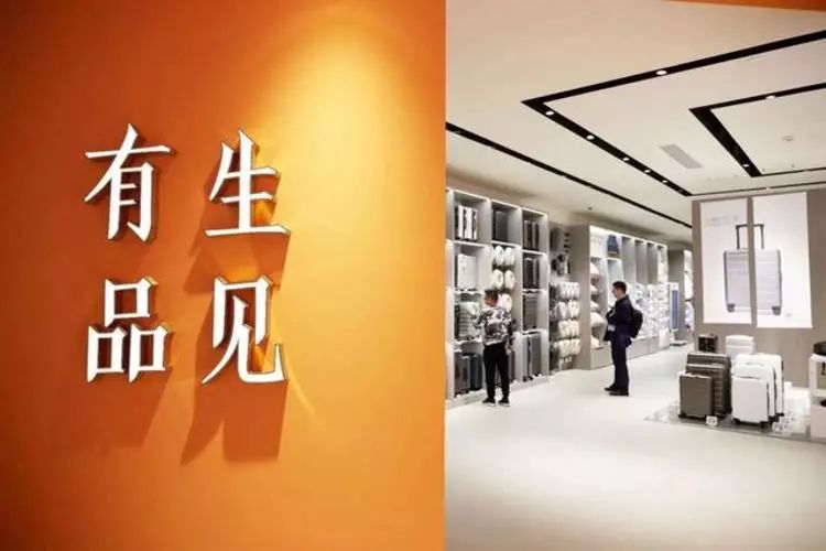 嘉善民生十分最新视频，科技新品重塑生活体验
