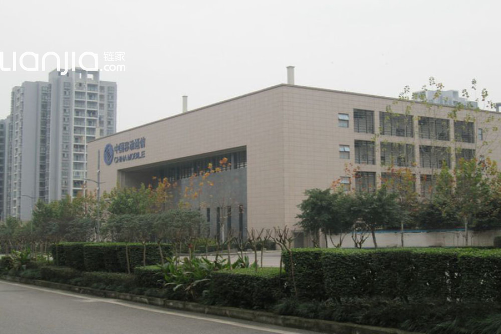 巴南中交锦悦最新动态深度解析