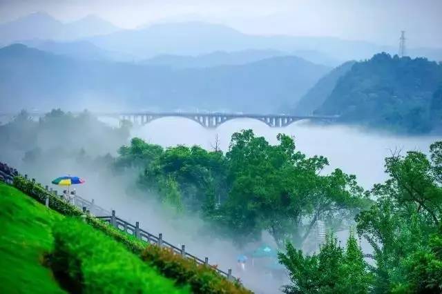 沪乍杭最新动态，自然美景探索之旅，心灵宁静的启程