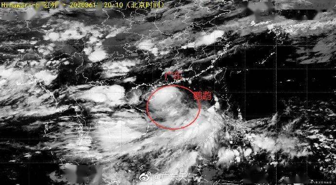 台风云雀最新动态，逆风翱翔，学习铸就自信与成长之路