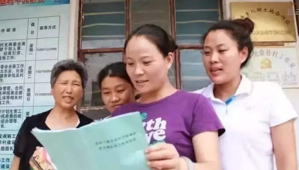 人大伍继红最新消息，多维度视角下的观察与分析综述