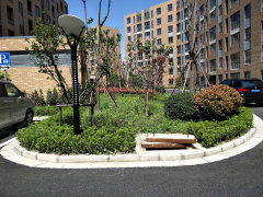 上海佘北家园最新进展，与自然美景的邂逅之旅揭秘进展动态