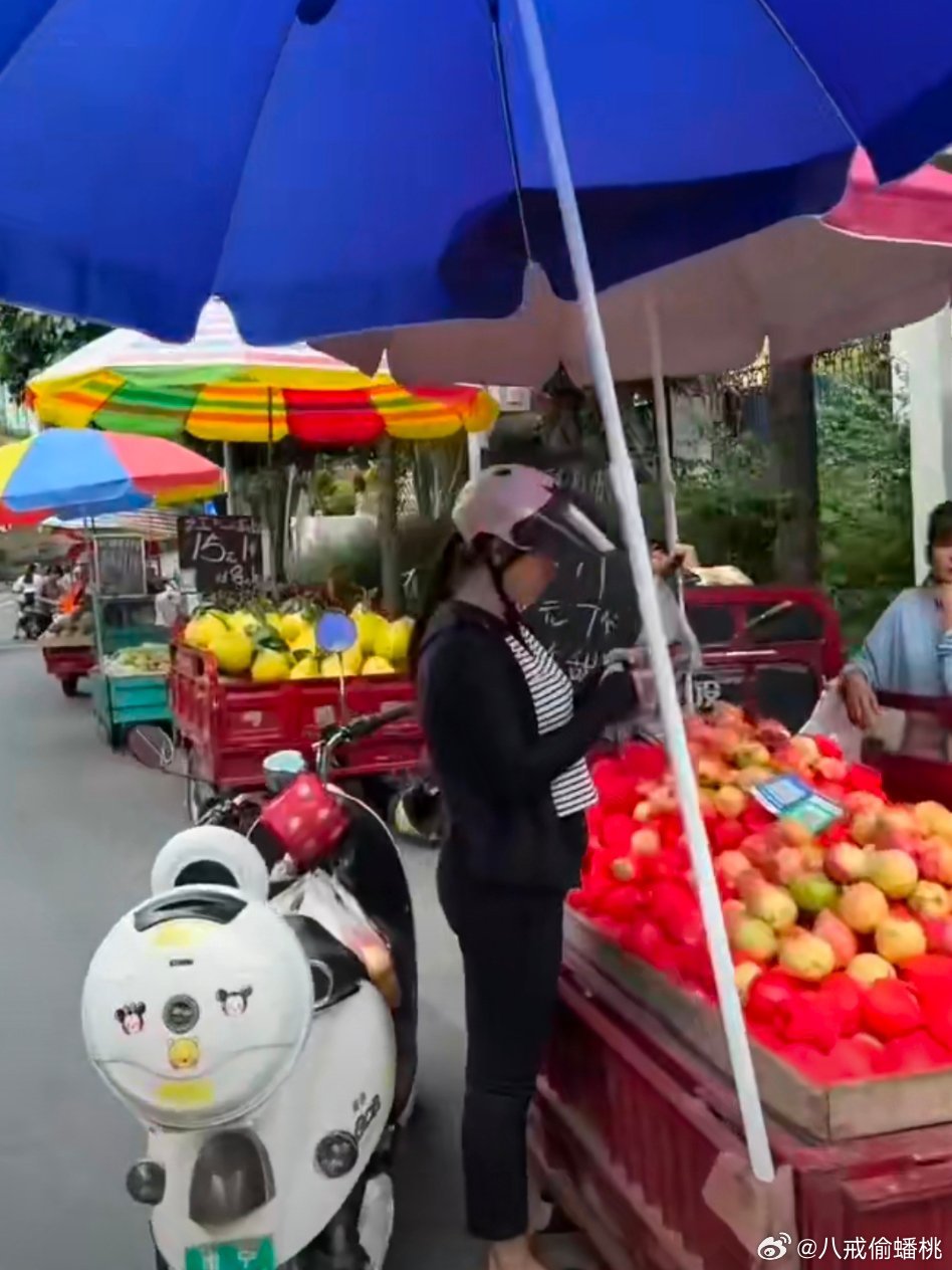省级森林公园 第46页