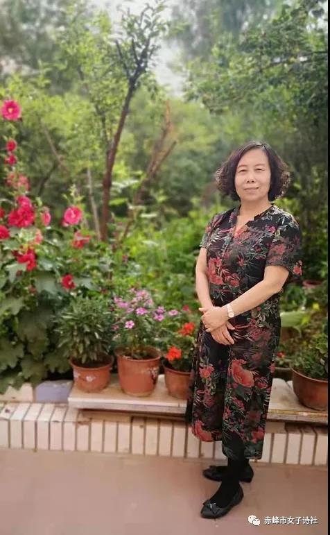 最新一期中华好诗词，传承华夏文明，领略古典韵味之美