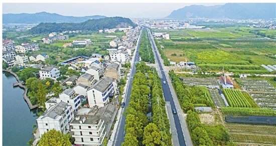 四川南部新闻最新消息，小城的温馨日常风采展示