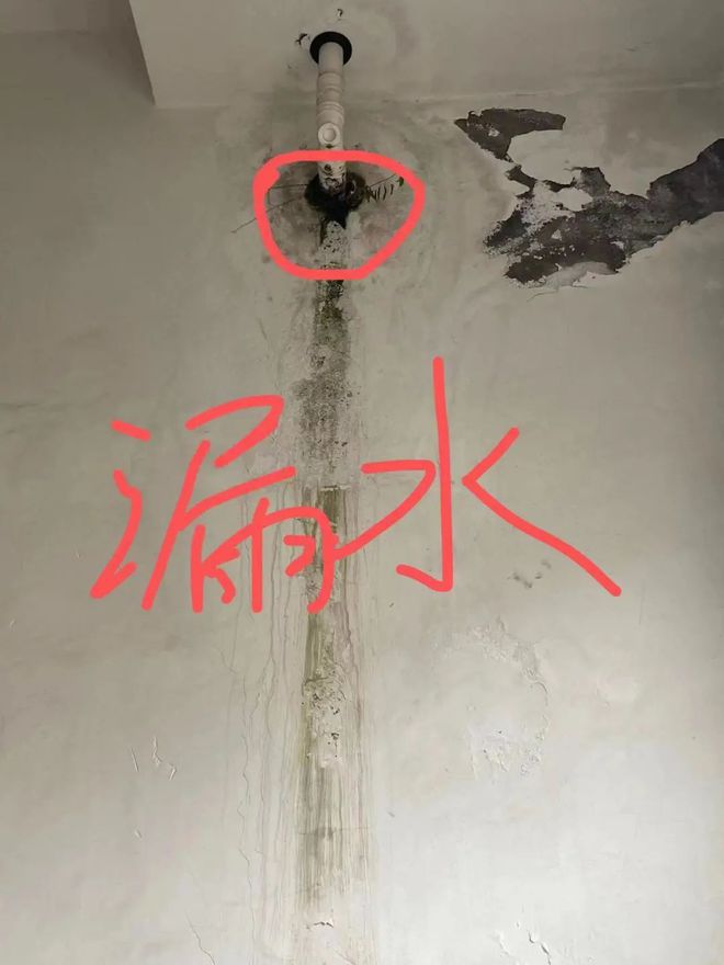 海梓府漏水事件最新进展，家庭考验与友情的力量展现