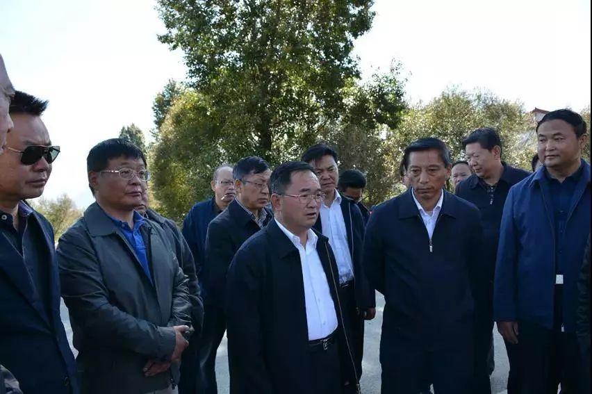 玉龙县与嘉乐最新动态报道