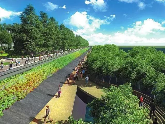沪北沿江高铁即将启程，飞驰成就梦想之旅的列车最新消息！