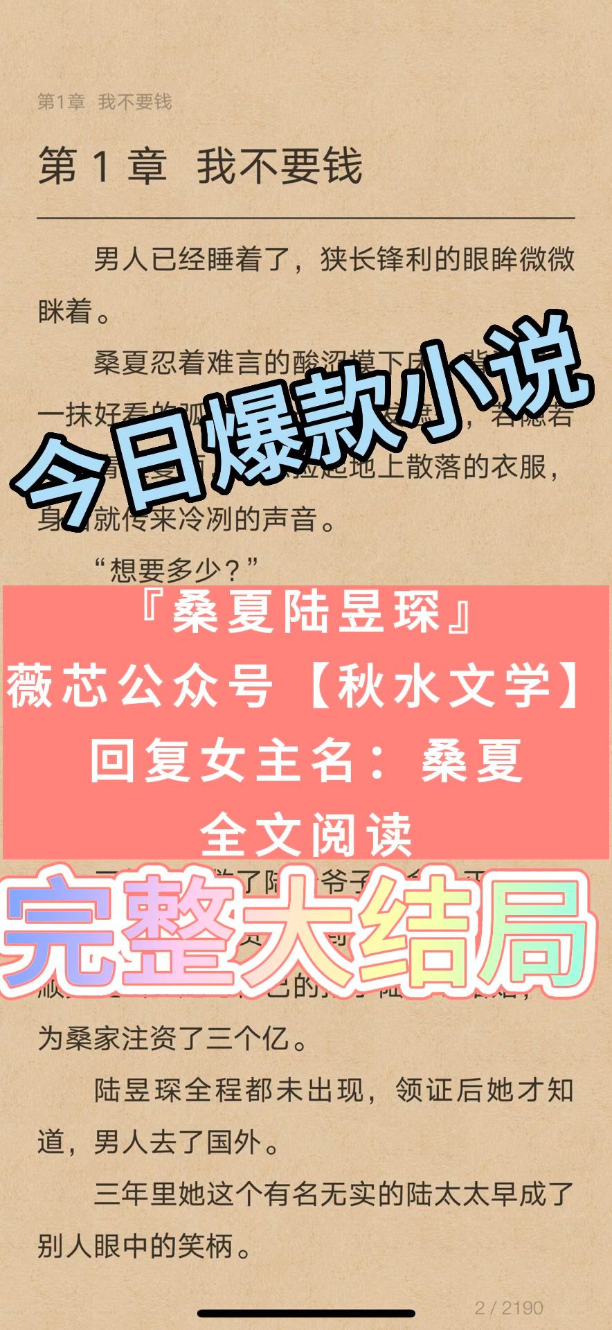 陆原小说免费阅读，温馨日常的最新章节