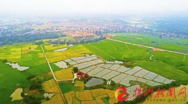 仙城镇七陂村，变革中的希望之光，未来展望最新消息