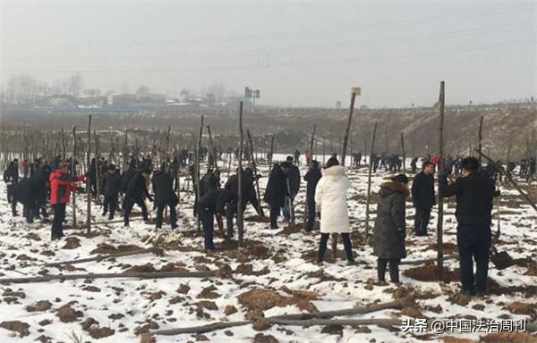 新郑市和庄镇最新招聘信息概览